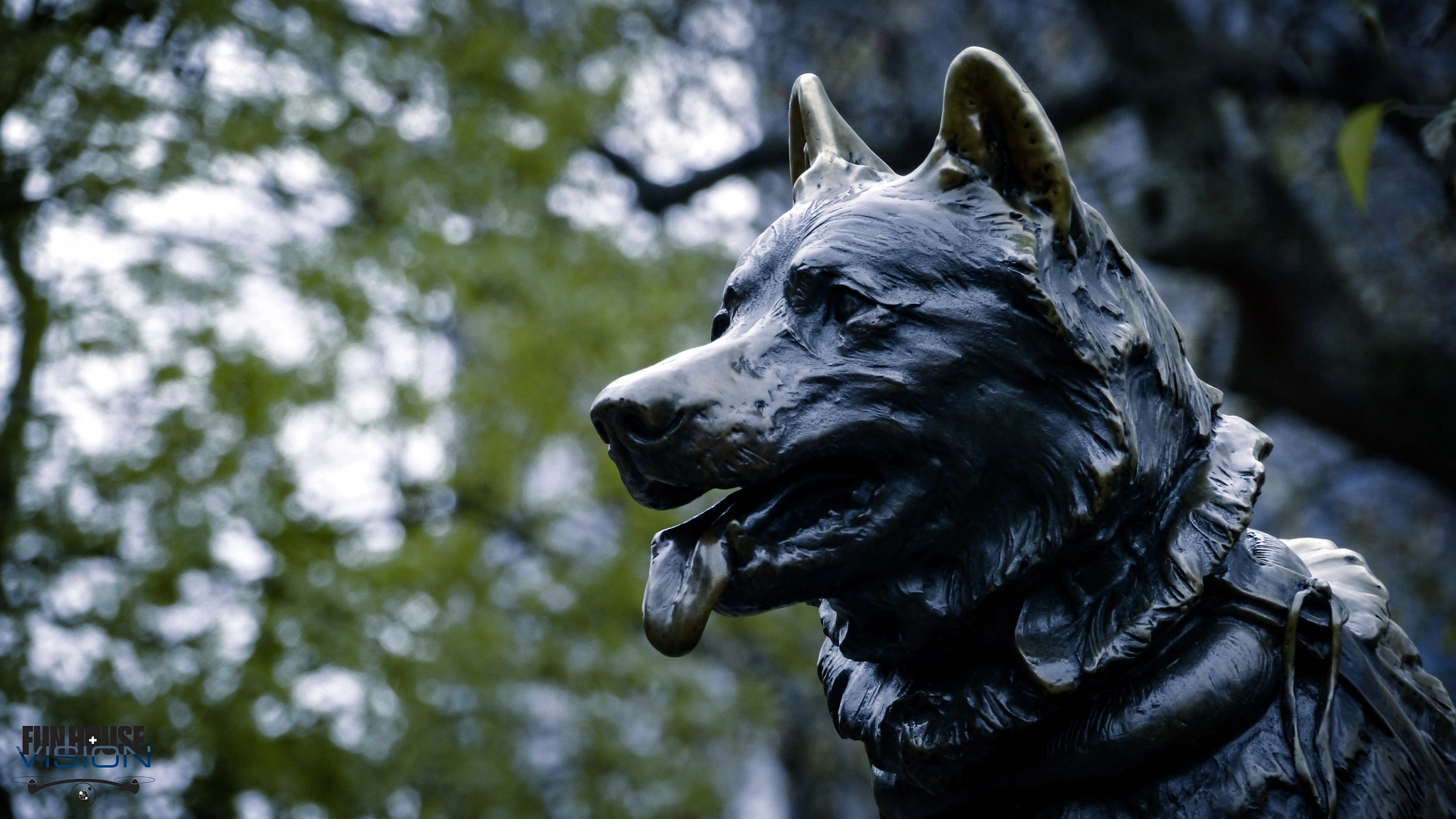 Panasonic Lumix DMC-GH2 sample photo. Central park museum 1/3 photography