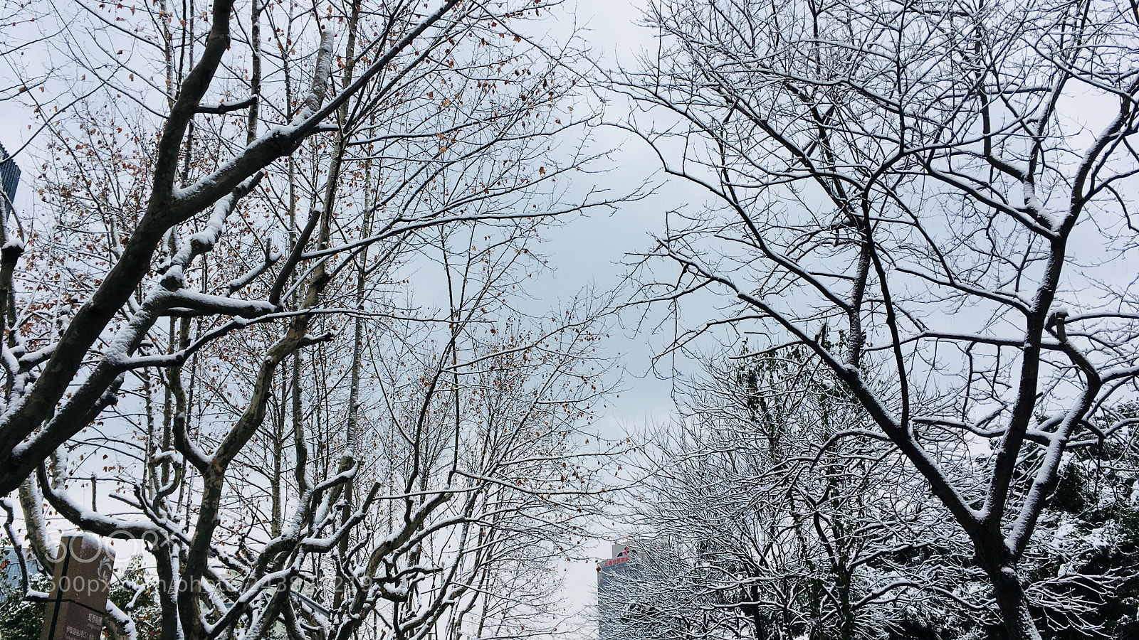 Apple iPhone SE sample photo. First snow in shanghai photography