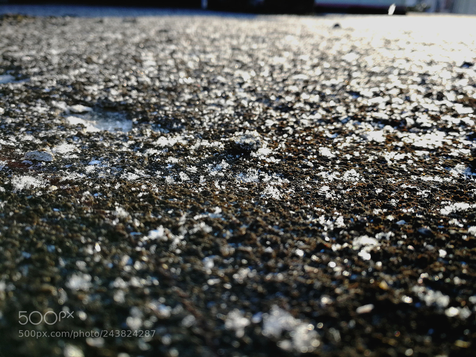 HUAWEI P10 sample photo. Untitled photography