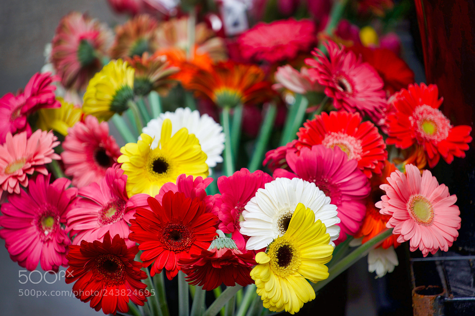 Sony a9 sample photo. You will believe in photography