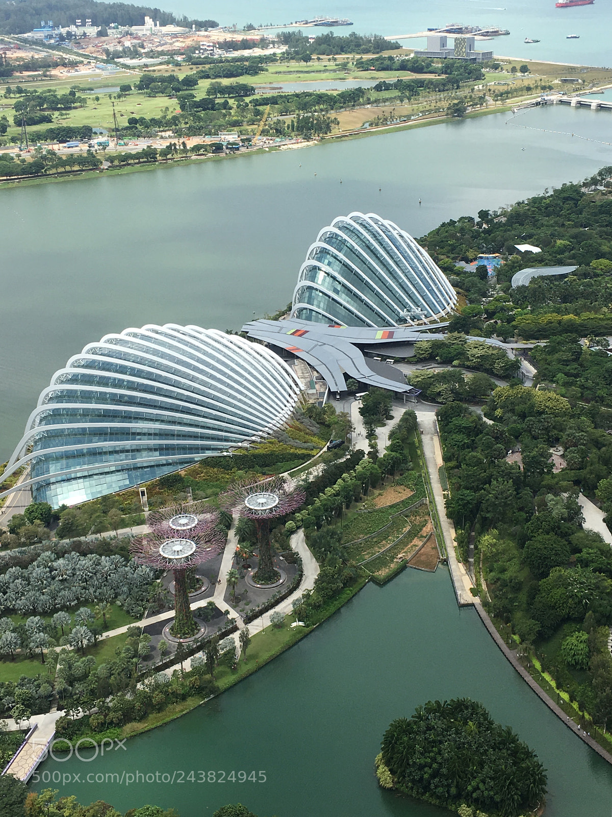Apple iPhone 6s Plus sample photo. Gardens by the bay-singapore photography