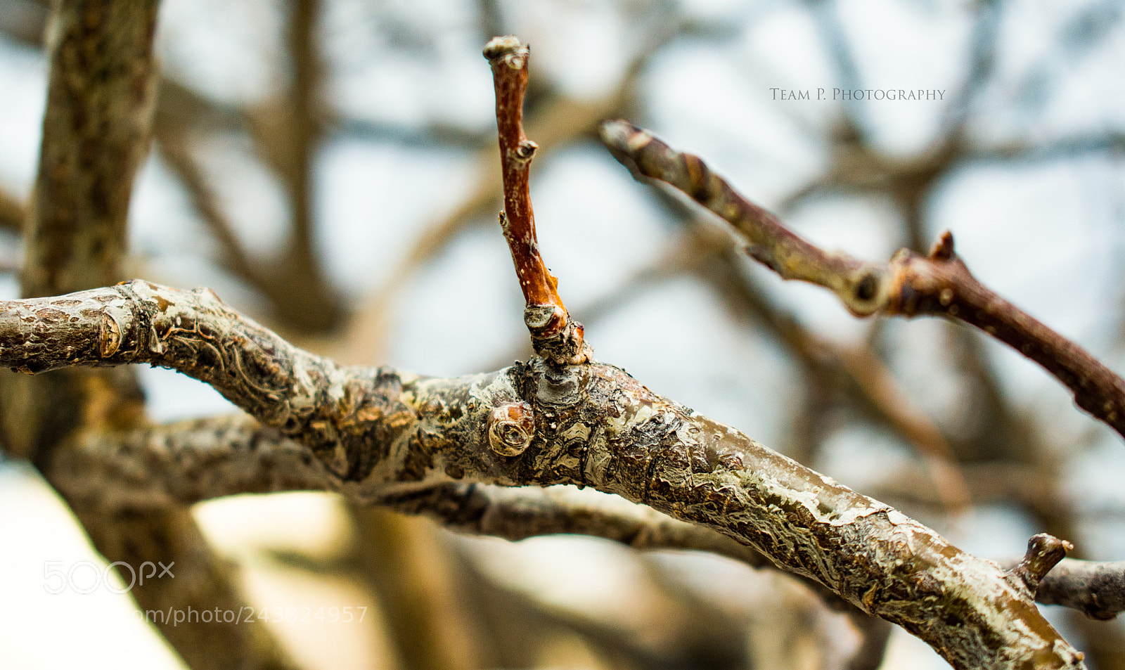Nikon D3400 sample photo. The essence of nothing photography