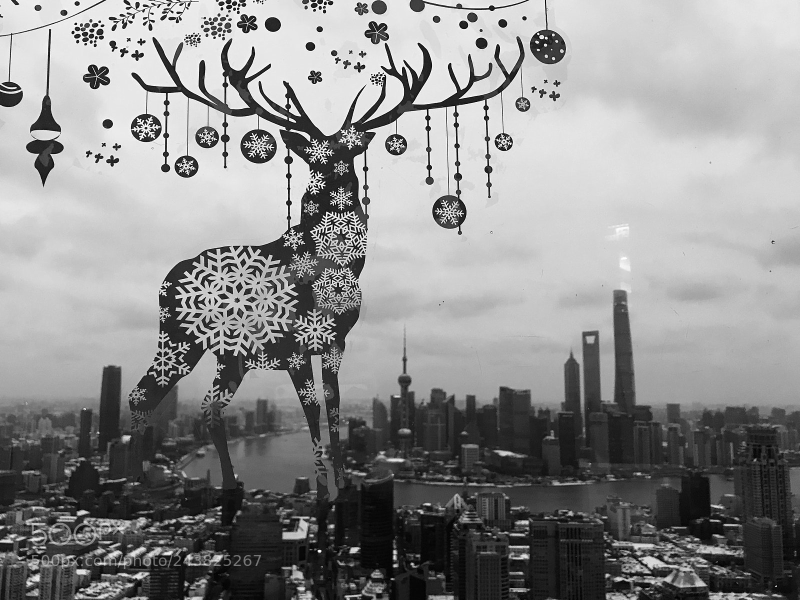 Apple iPhone 7 sample photo. First snow in shanghai photography