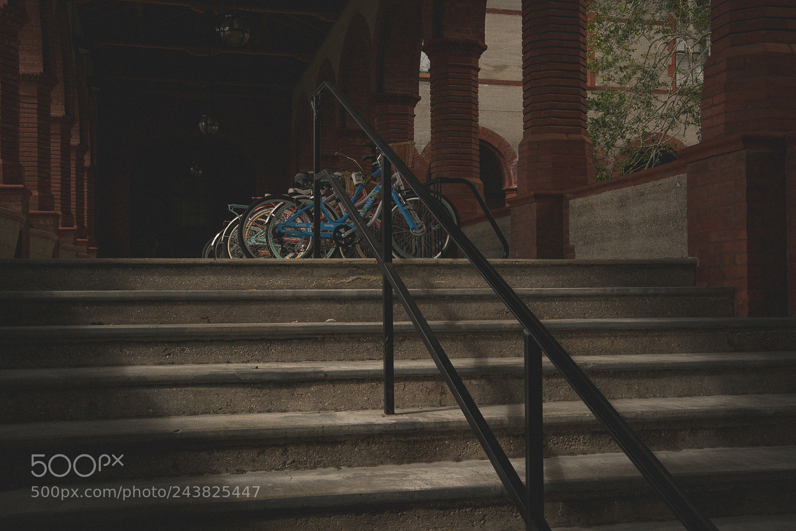 Sony a7S II sample photo. Untitled photography