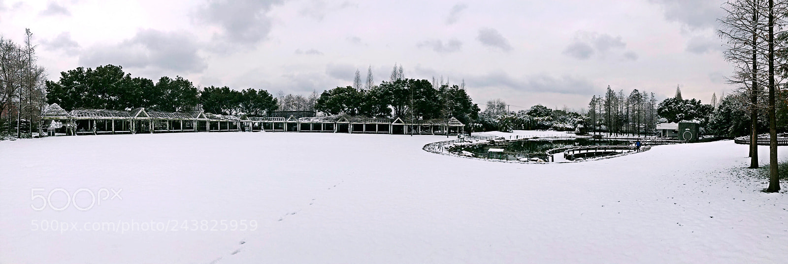 Apple iPhone X sample photo. ❄️银装素裹的世界 photography
