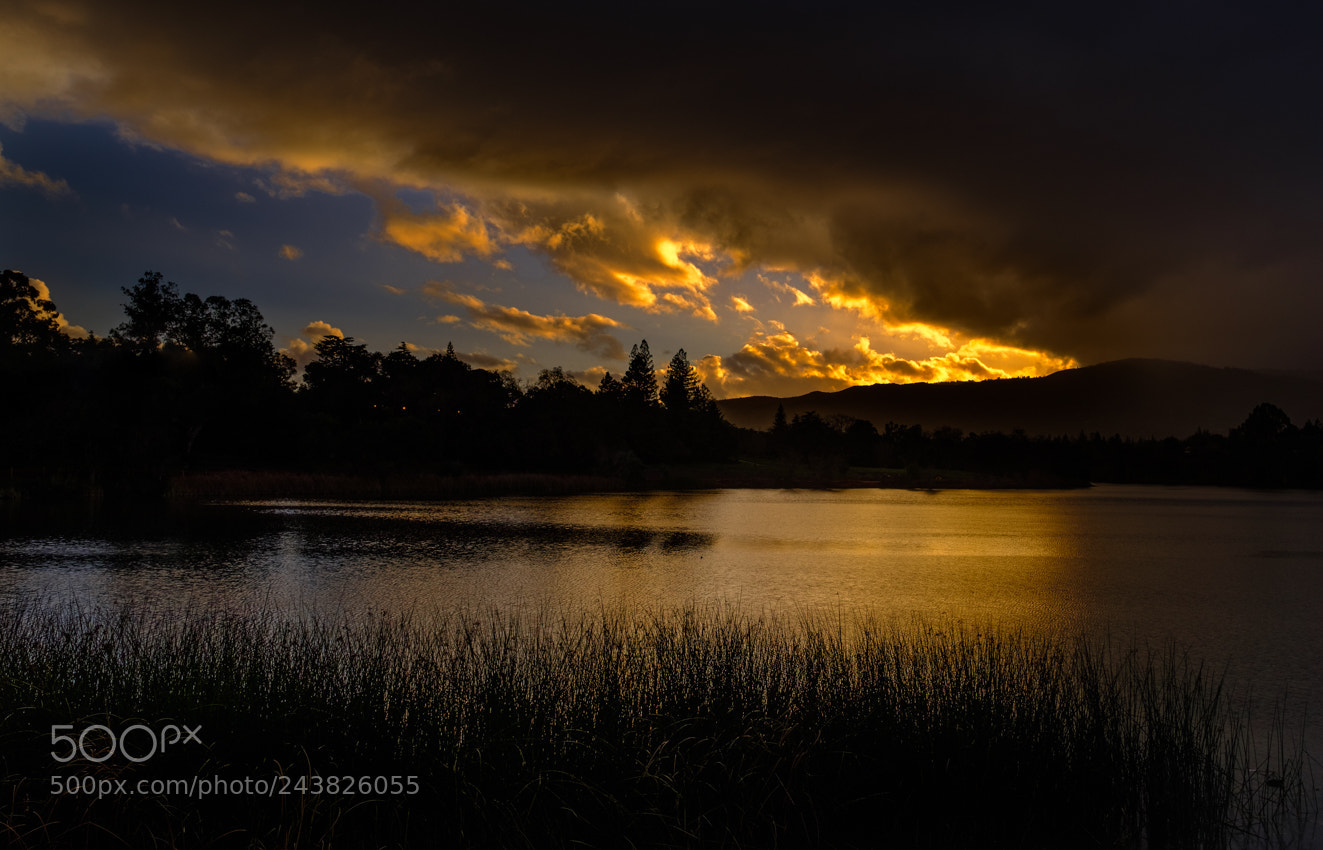 Fujifilm X-T2 sample photo. Vasona sunset photography