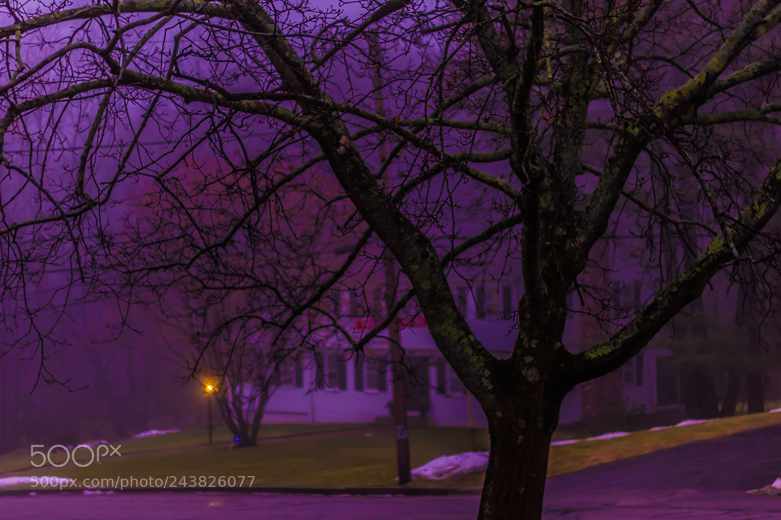 Canon EOS 750D (EOS Rebel T6i / EOS Kiss X8i) sample photo. Foggy morning photography