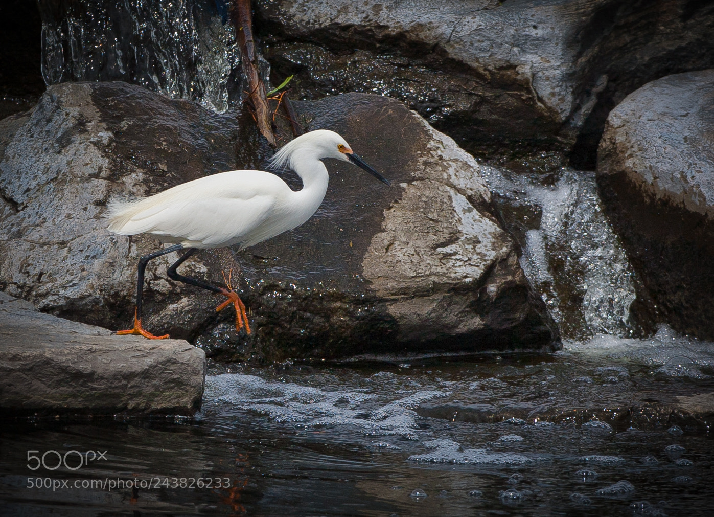 Canon EOS 5D sample photo. On the hunt photography