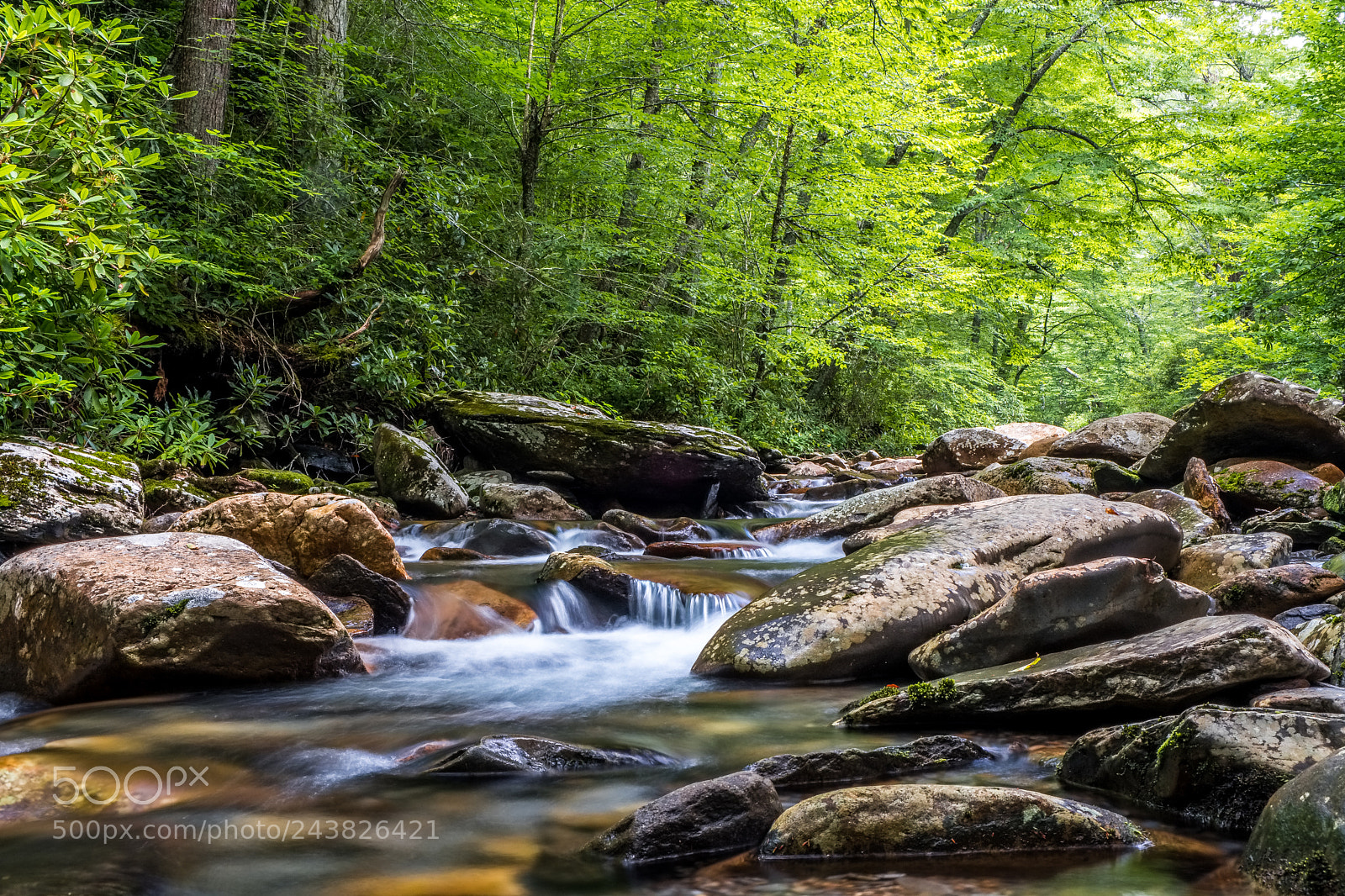 Fujifilm X-T20 sample photo. Smokey mountain creek photography