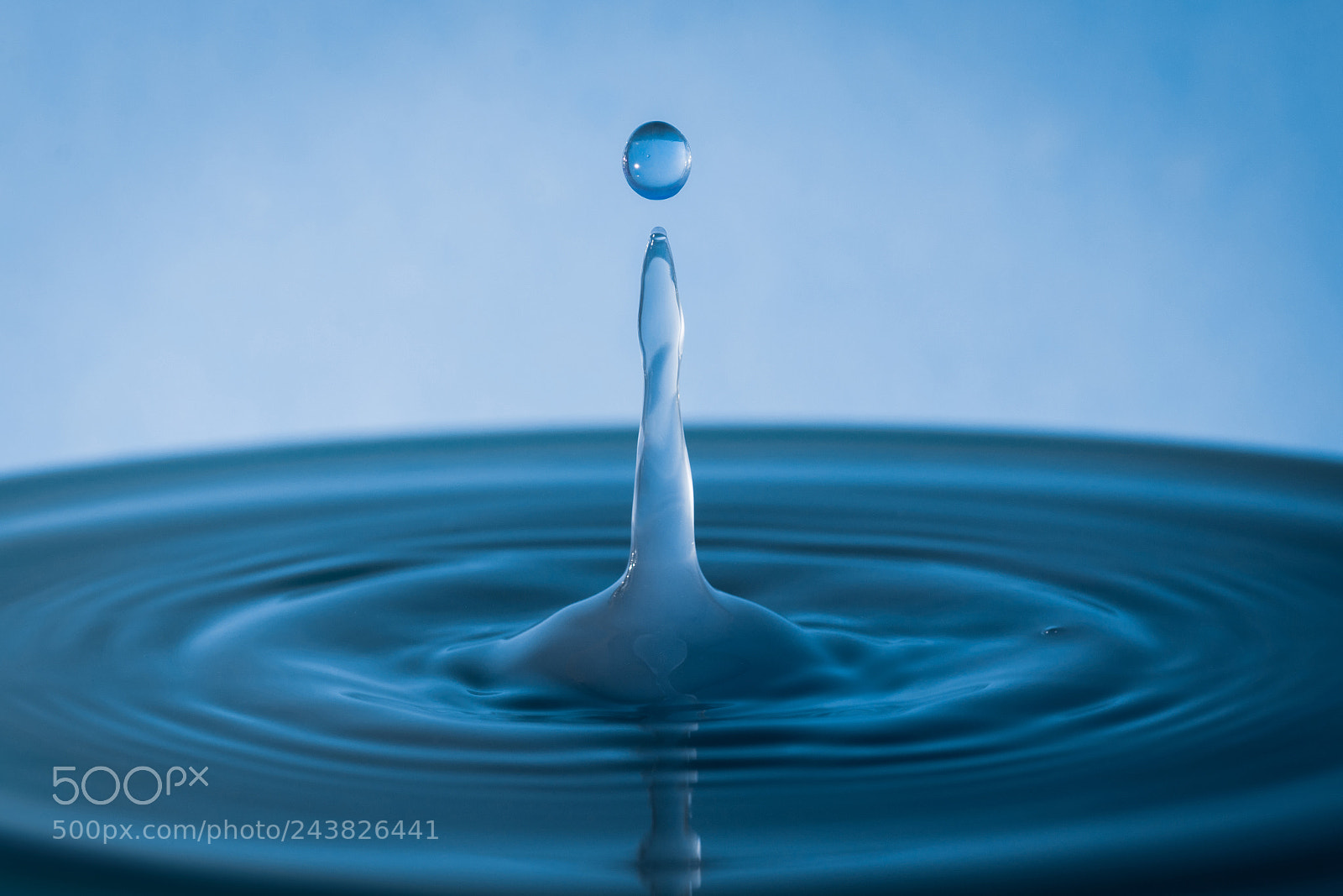 Nikon D7200 sample photo. Water drop photography