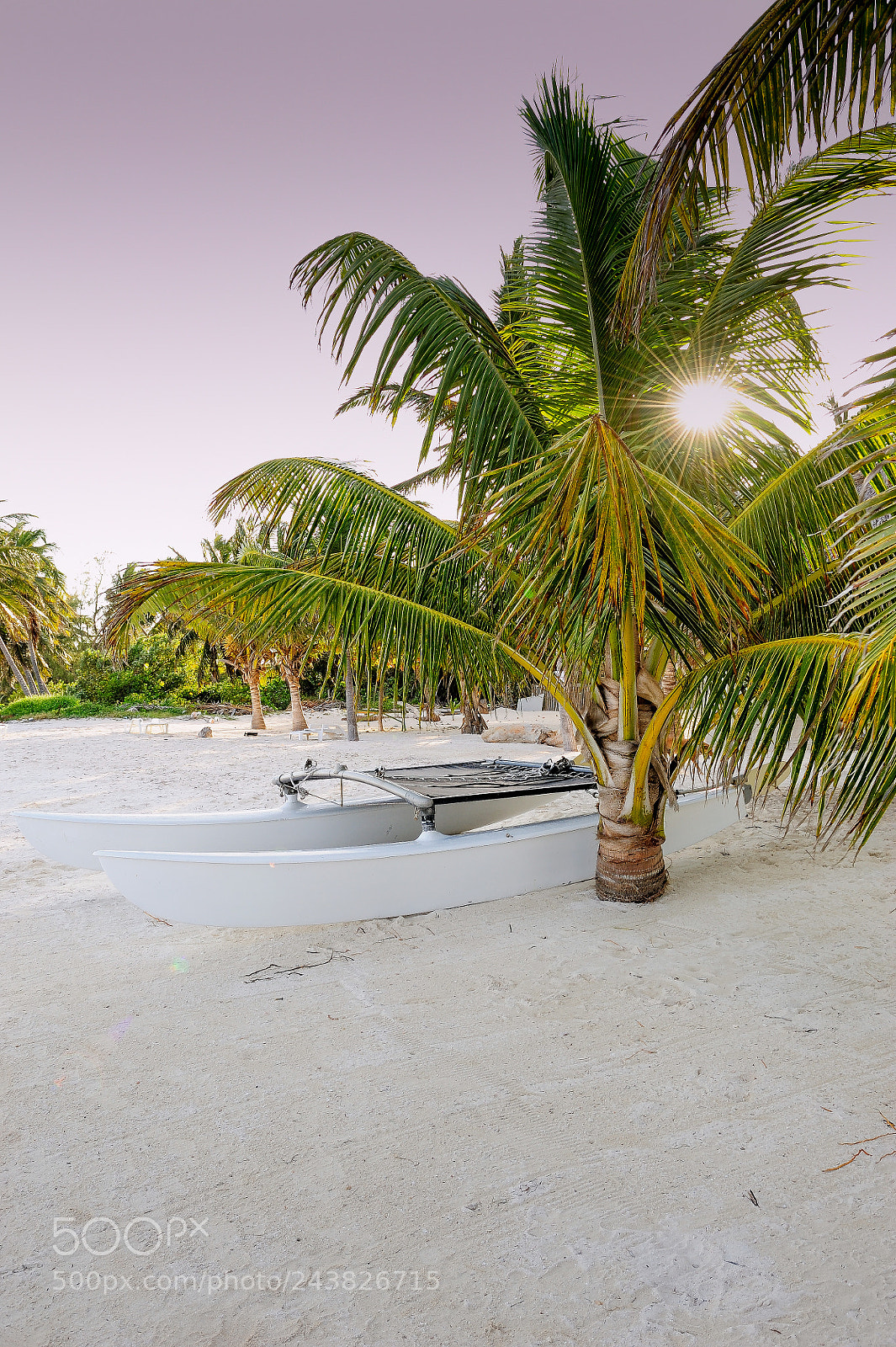 Nikon D3 sample photo. Catamaran on beach photography