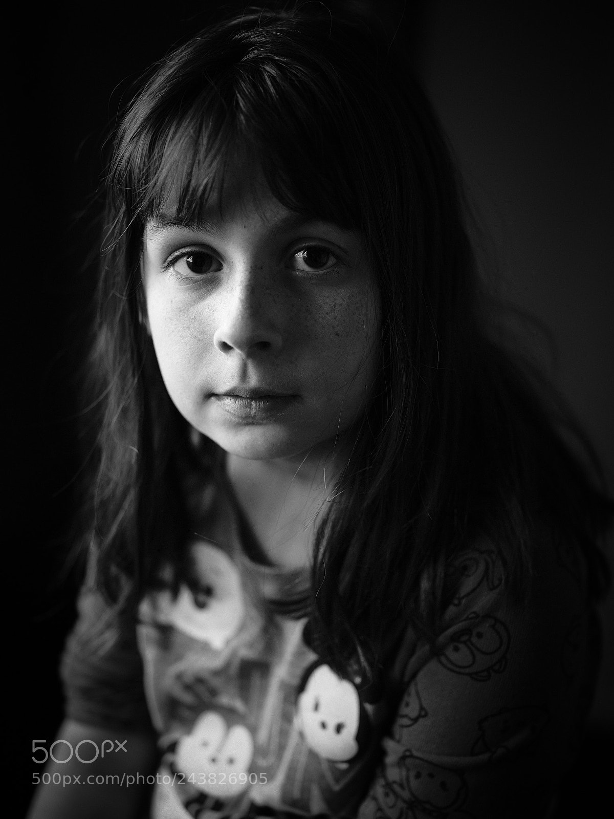 Fujifilm GFX 50S sample photo. 1-2.jpg photography