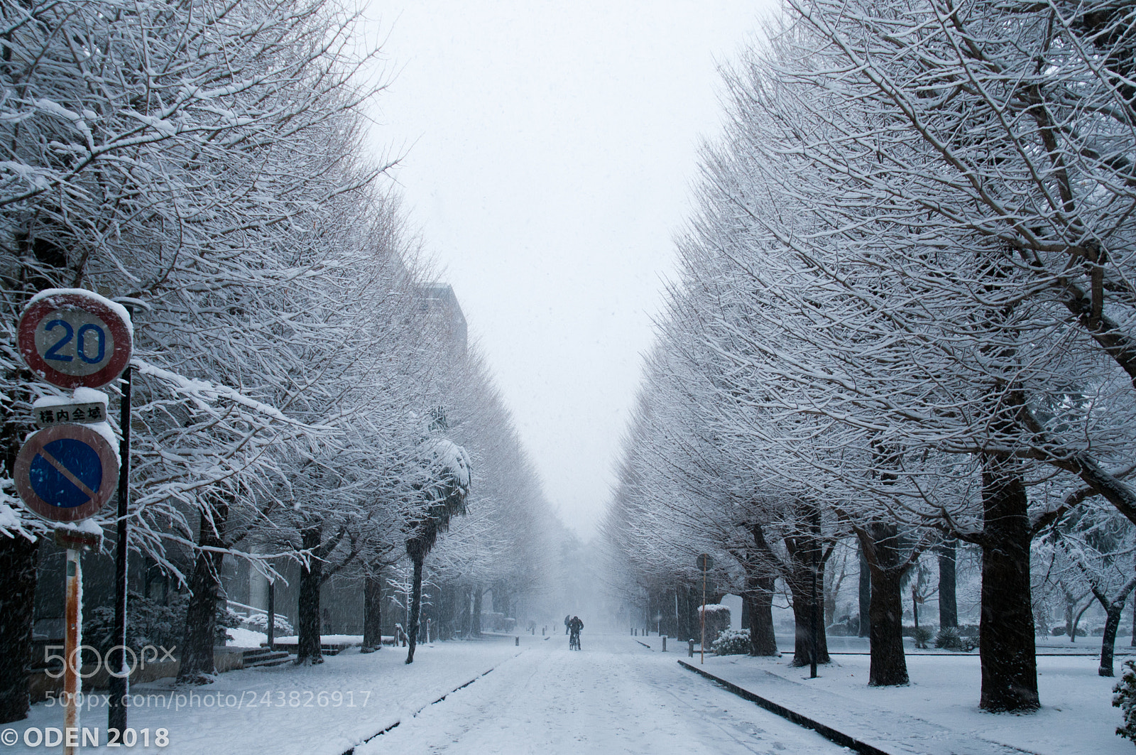 Nikon D300 sample photo. Winter time photography