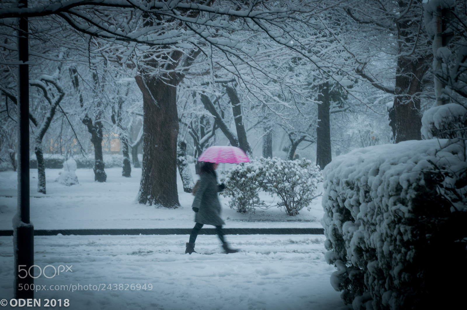 Nikon D300 sample photo. Walking photography