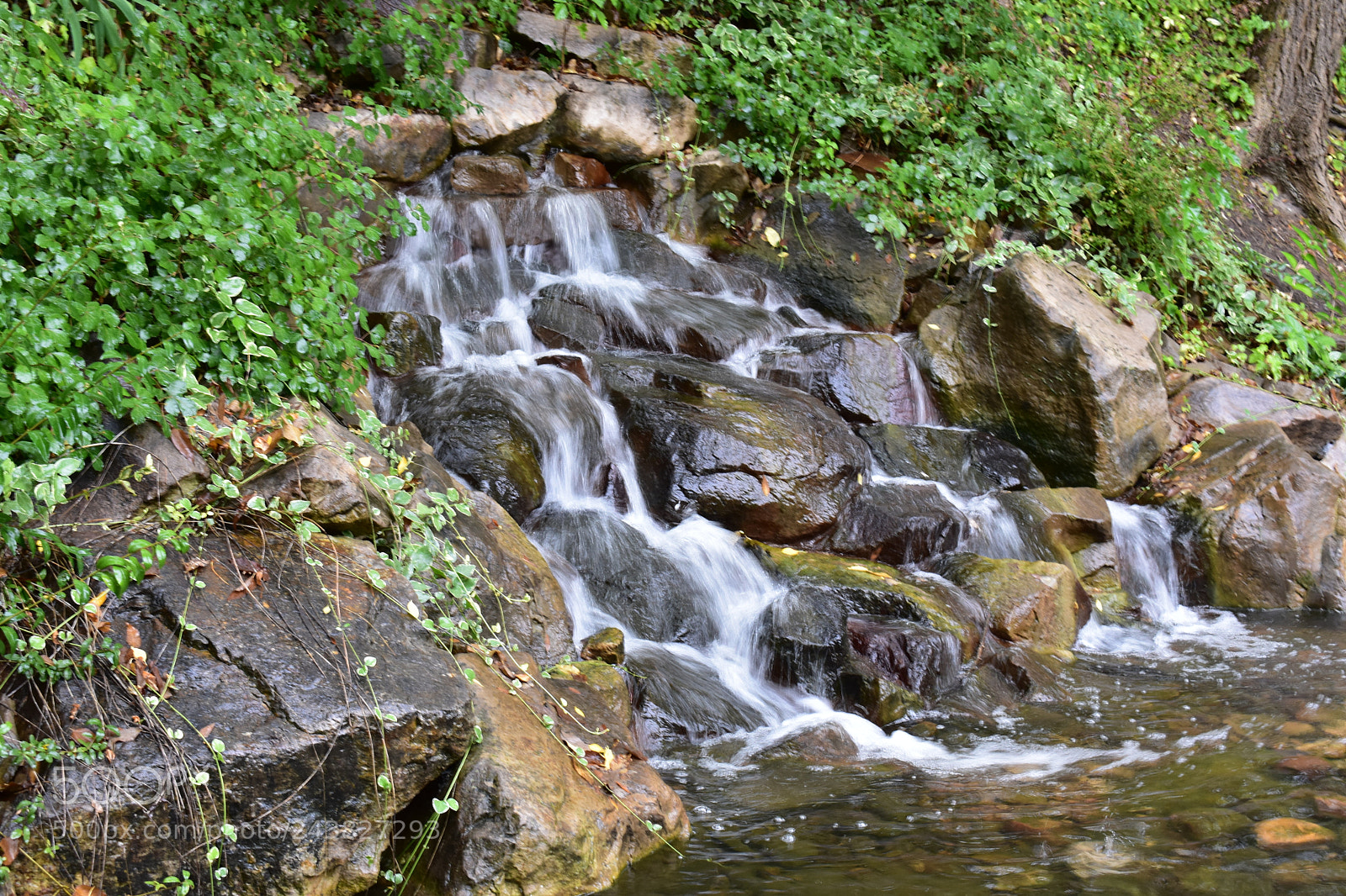 Nikon D3400 sample photo. Still photography