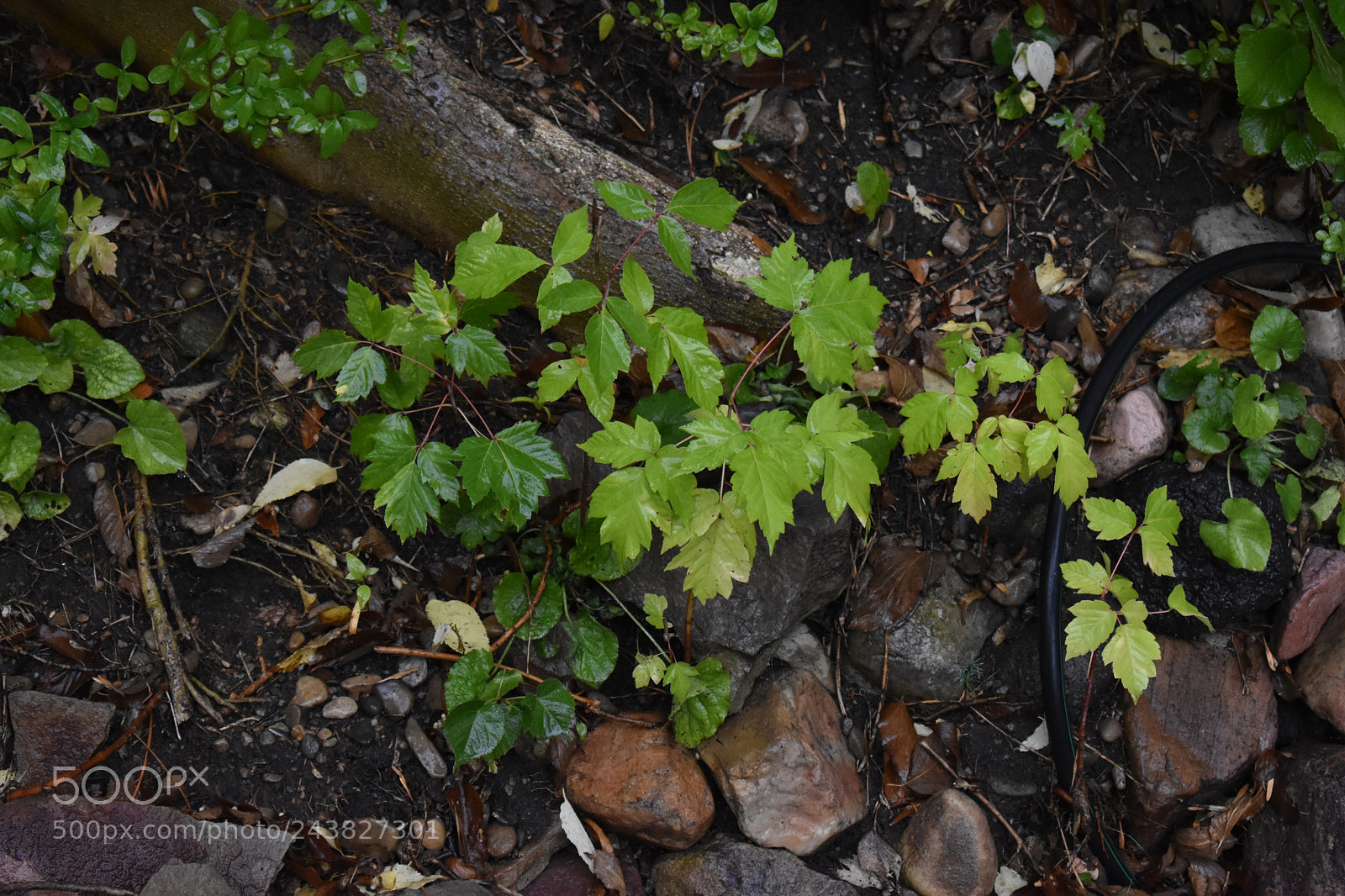 Nikon D3400 sample photo. Still photography