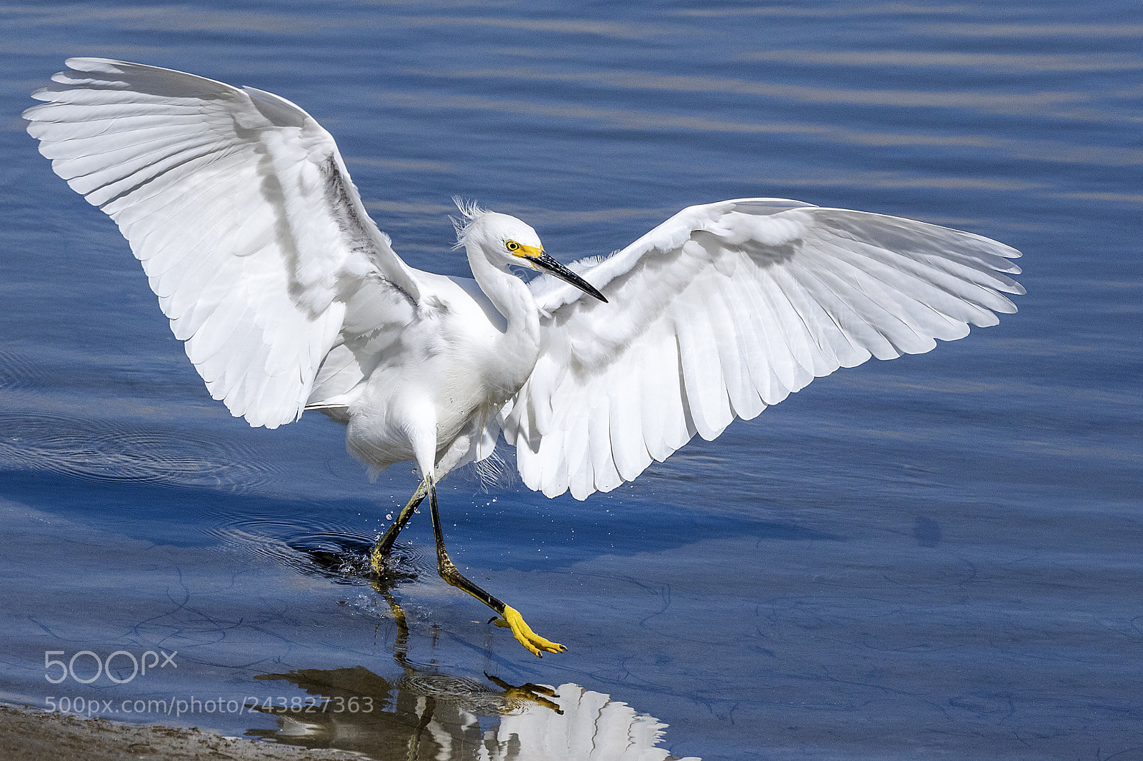 Canon EOS 5DS sample photo. Fish wrangler photography