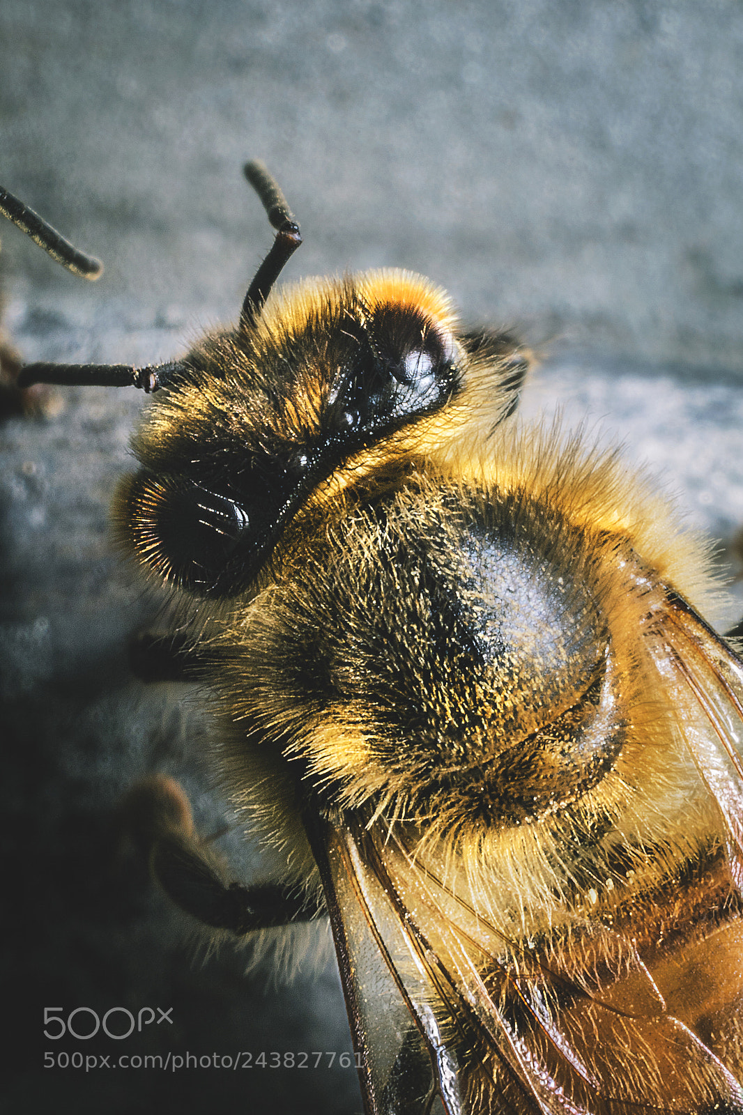 Canon EOS 7D Mark II sample photo. Top down photography