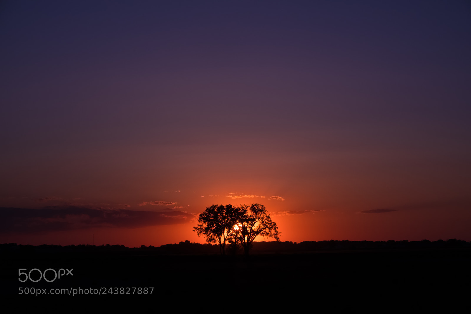 Fujifilm X-T20 sample photo. Sunset behind tree photography