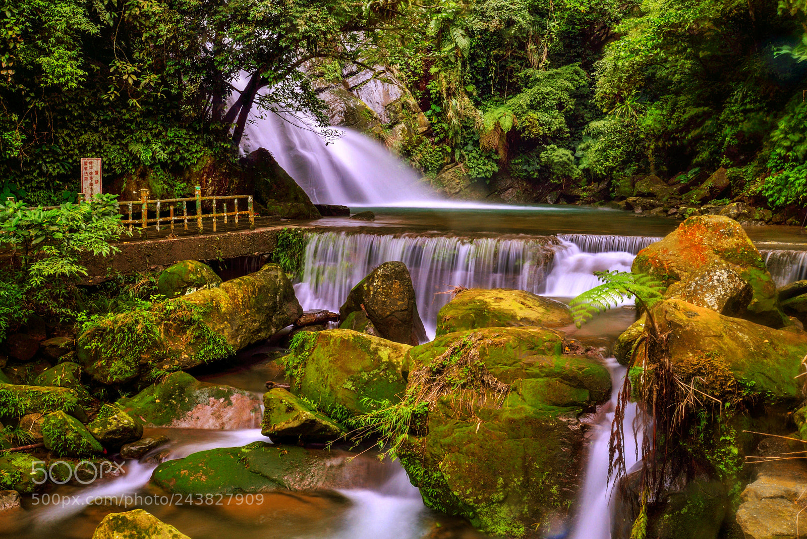 Nikon D610 sample photo. Taiwan nantou county desing photography
