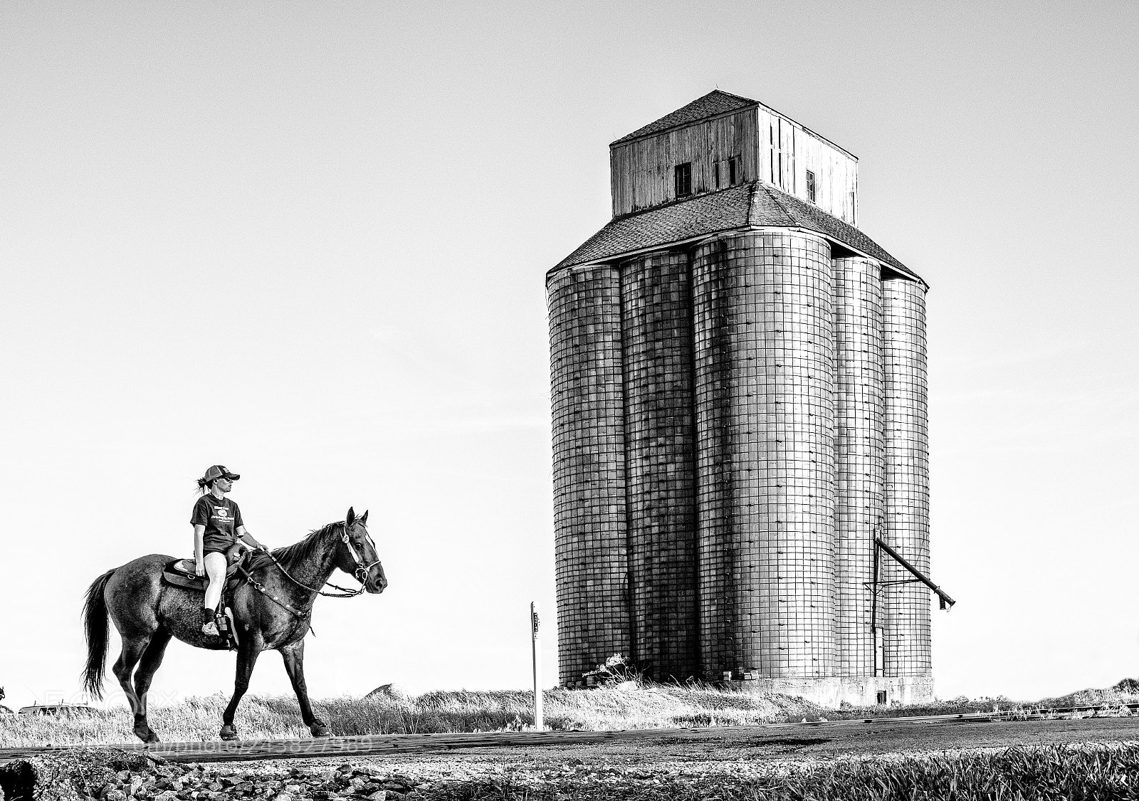 Fujifilm X-T20 sample photo. Girl on horse photography