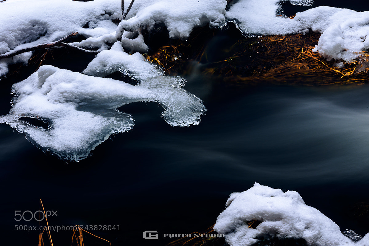 Canon EOS-1D X sample photo. 微信图片 photography