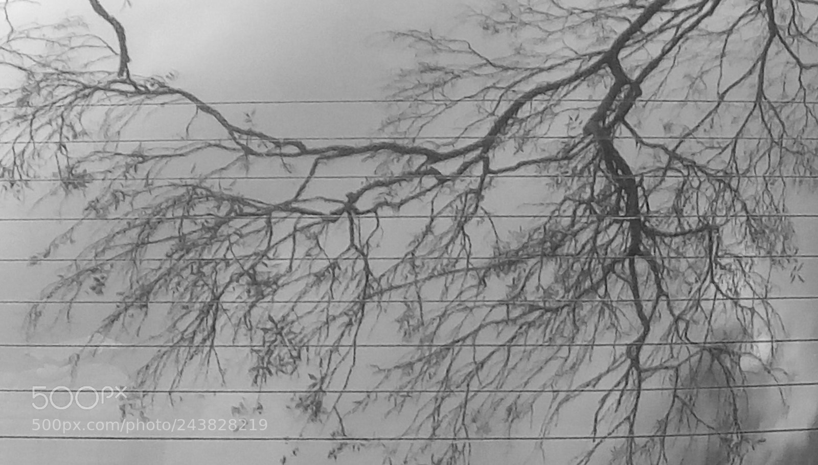 HTC D728X sample photo. Untitled photography