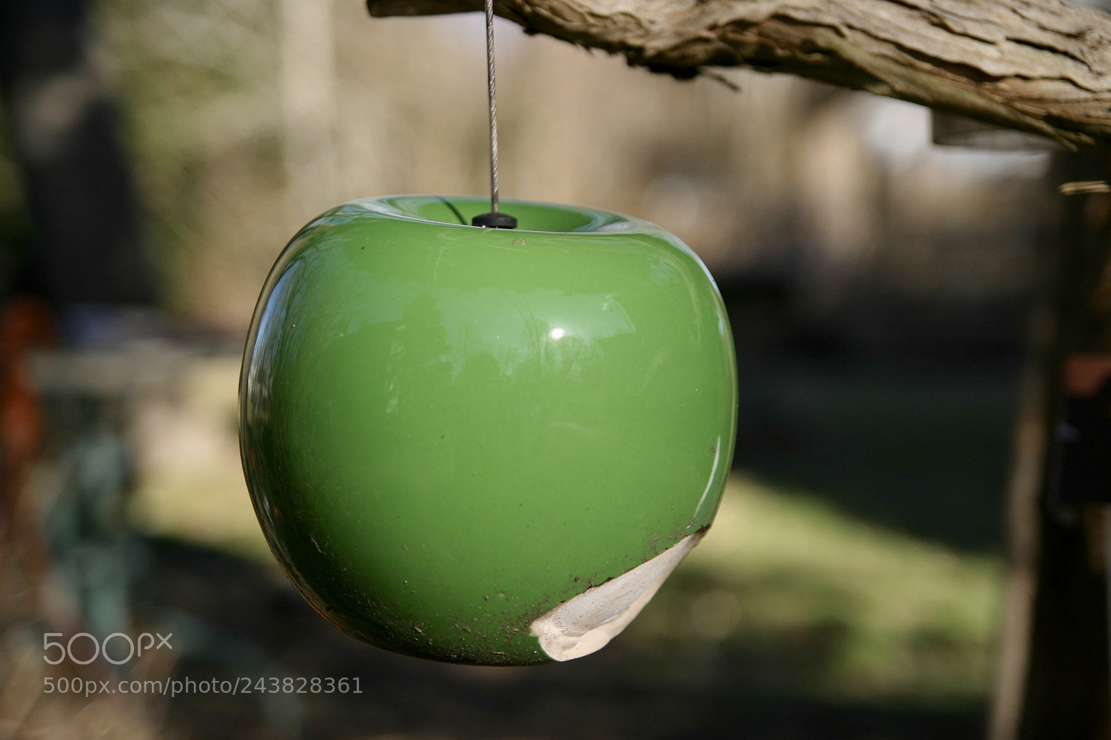 Canon EOS 10D sample photo. Bird feeder photography