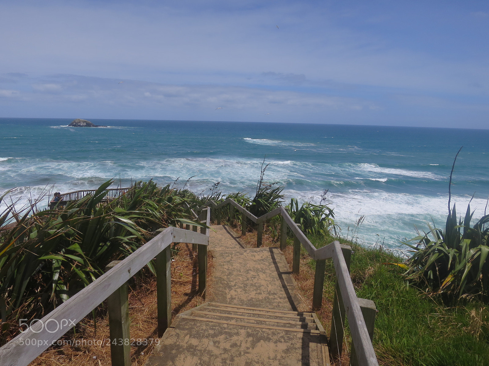 Canon PowerShot S120 sample photo. Muriwai gannet colony, new photography