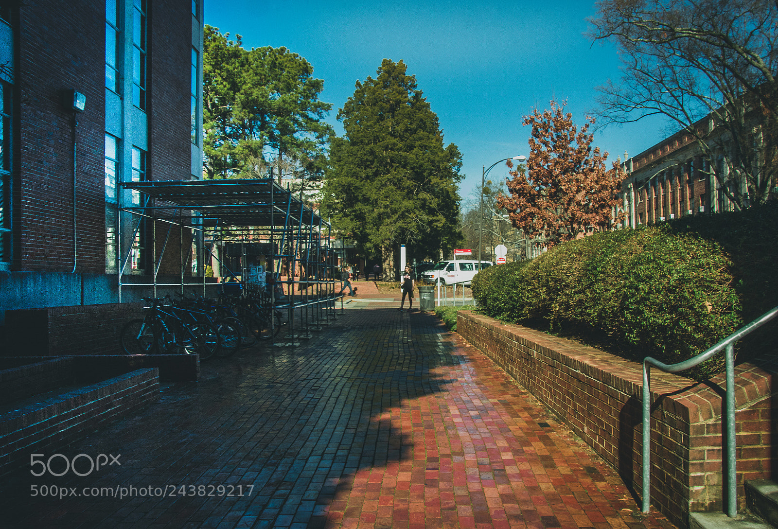 Canon EOS 750D (EOS Rebel T6i / EOS Kiss X8i) sample photo. North carolina state university photography