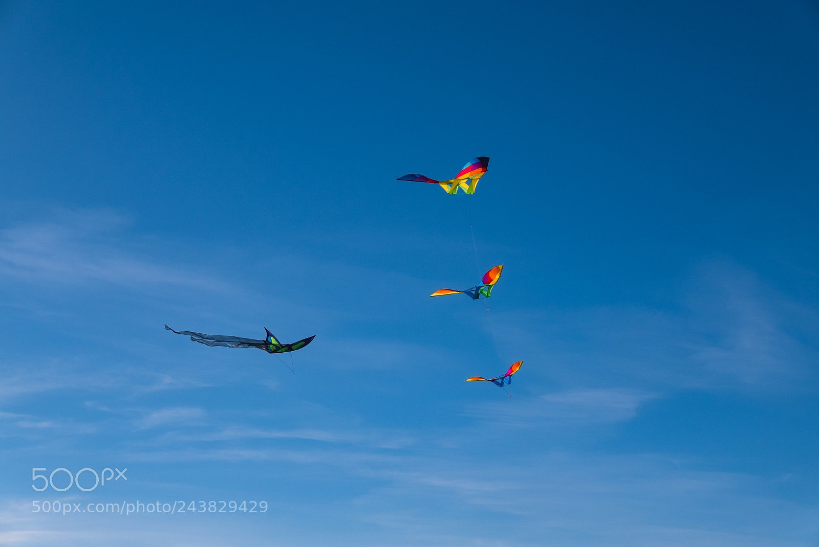 Panasonic Lumix DMC-LX100 sample photo. Kites flying away photography