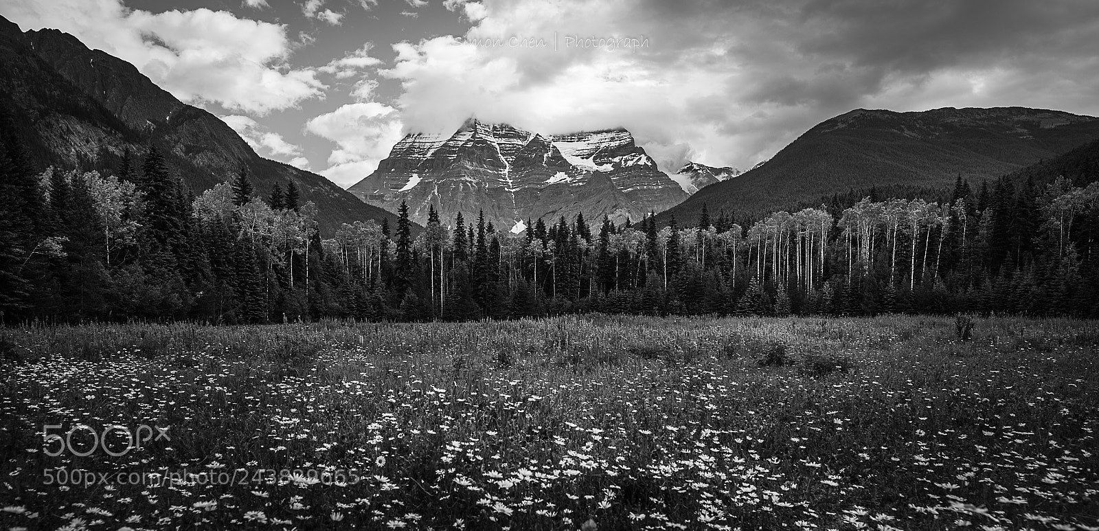 Nikon D810 sample photo. Mount robson in summer photography