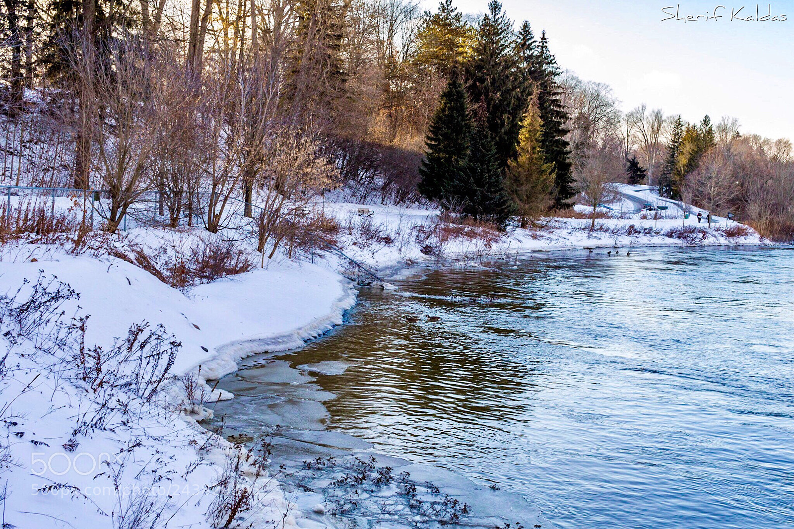 Canon EOS 750D (EOS Rebel T6i / EOS Kiss X8i) sample photo. Springbank park photography