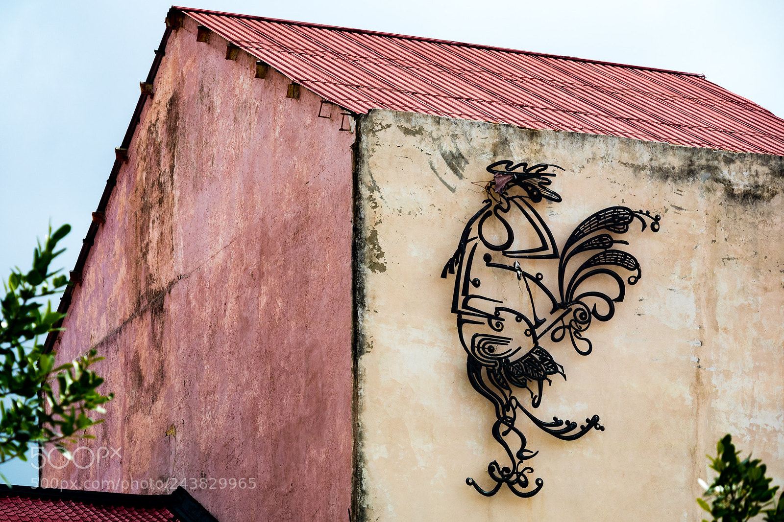 Canon EOS M3 sample photo. Rooster photography