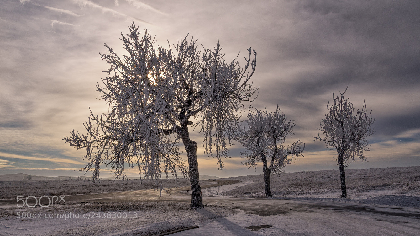 Pentax K-3 sample photo. Land of the frost photography