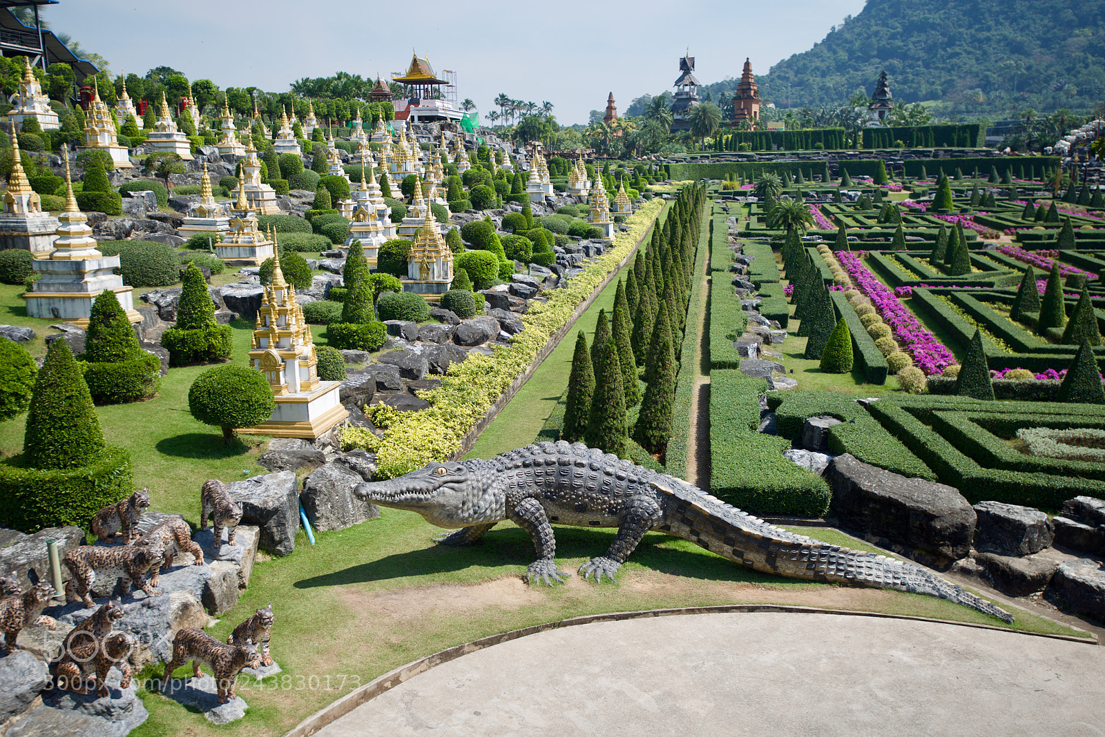 Nikon D800 sample photo. Just pretty crocodile photography