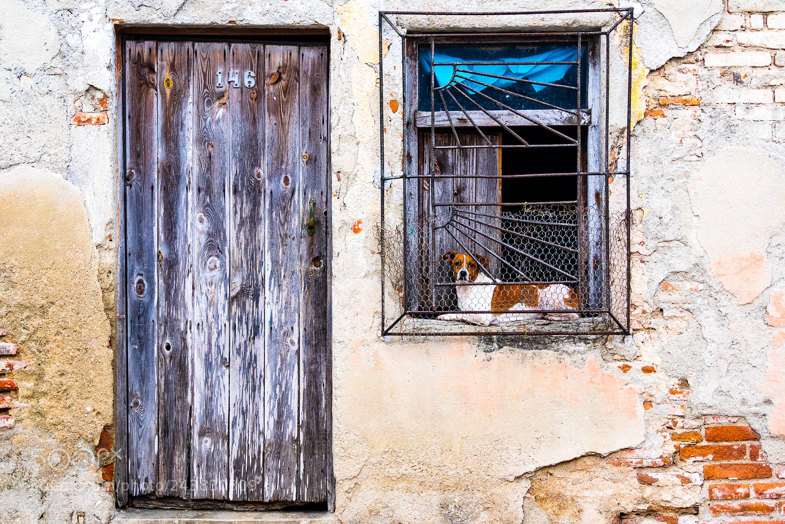 Canon EOS M3 sample photo. Dog and a window photography