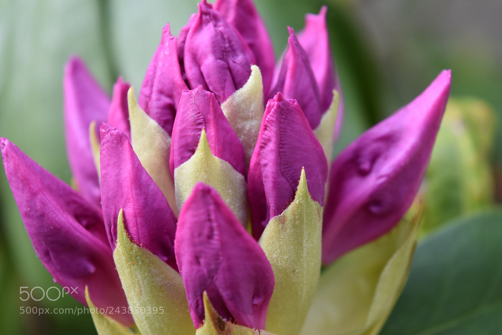 Nikon D5500 sample photo. On the cusp of photography