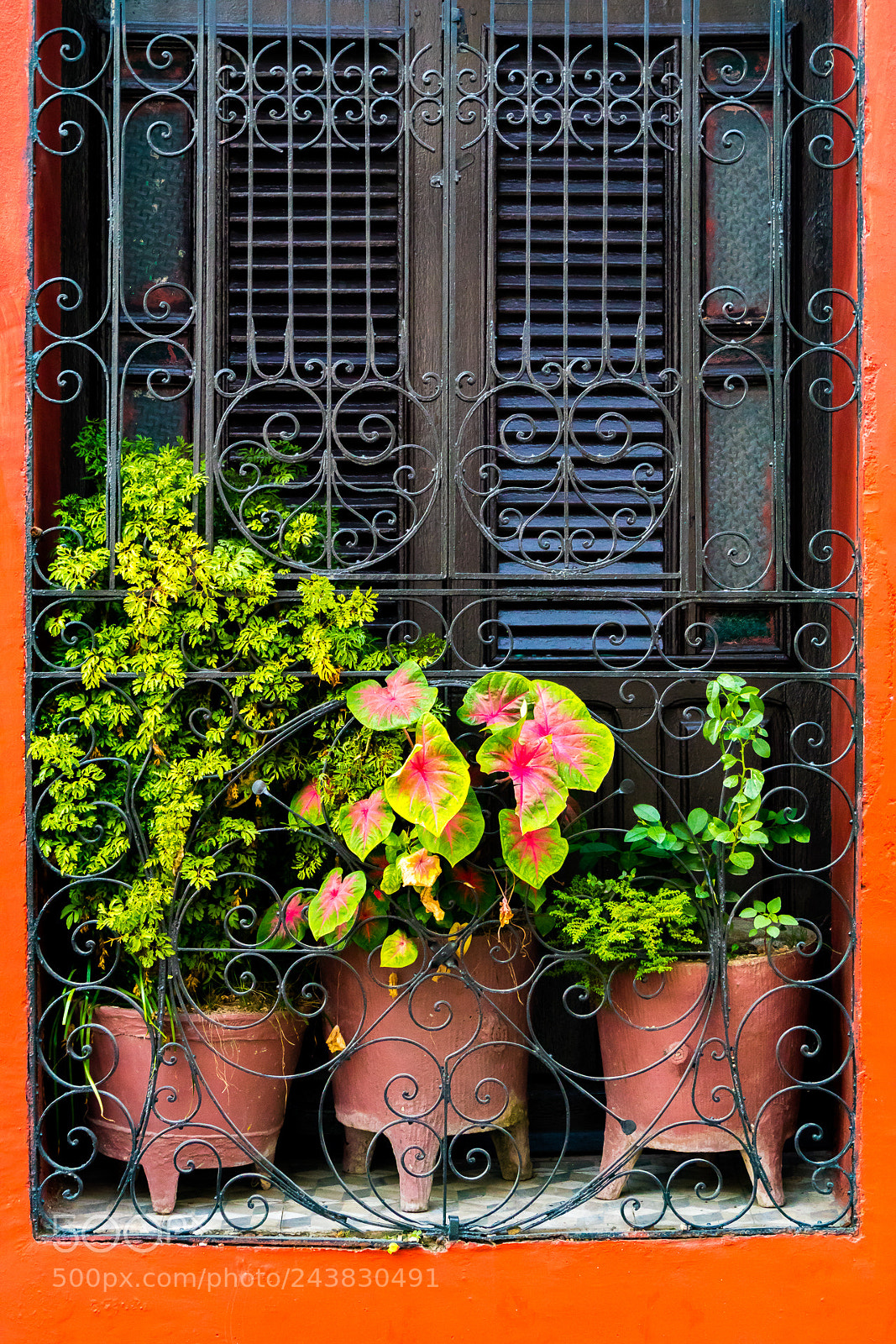 Canon EOS M3 sample photo. Plants in red photography