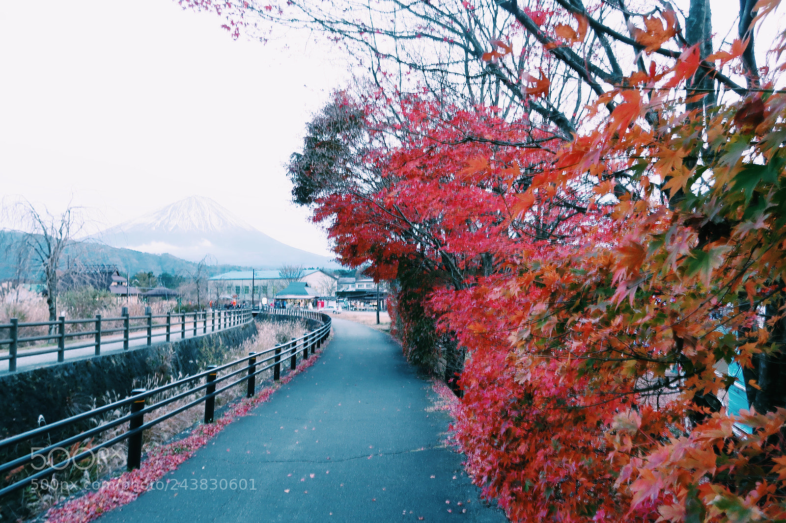 Canon PowerShot G7 X Mark II sample photo. Visit fuji san day photography