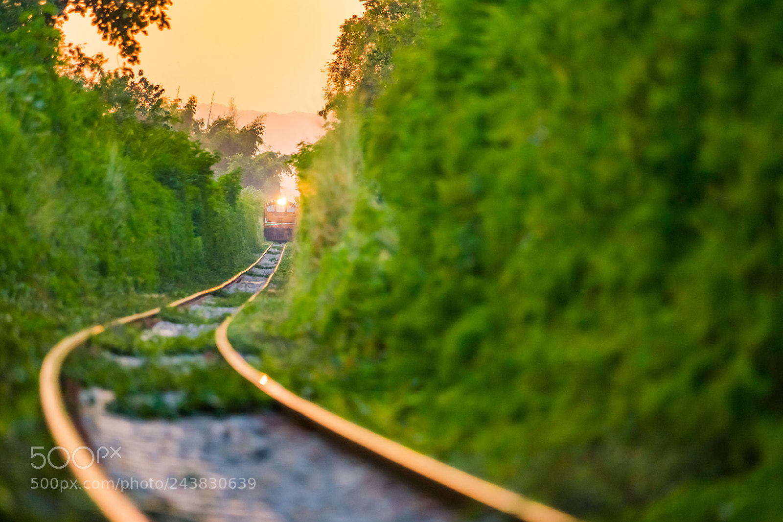 Sony a7 II sample photo. The train runs through photography