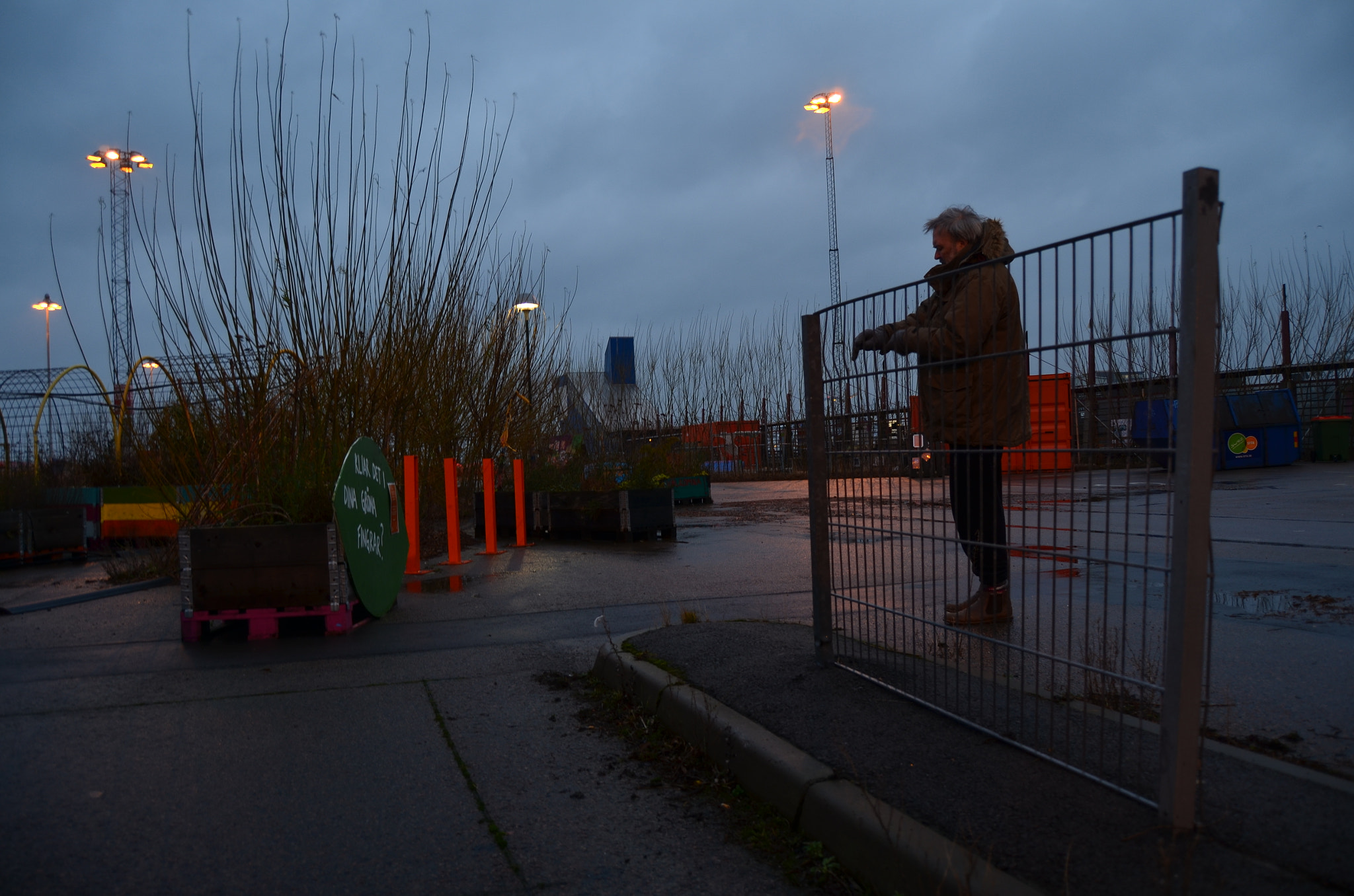 Nikon D5100 sample photo. January photography