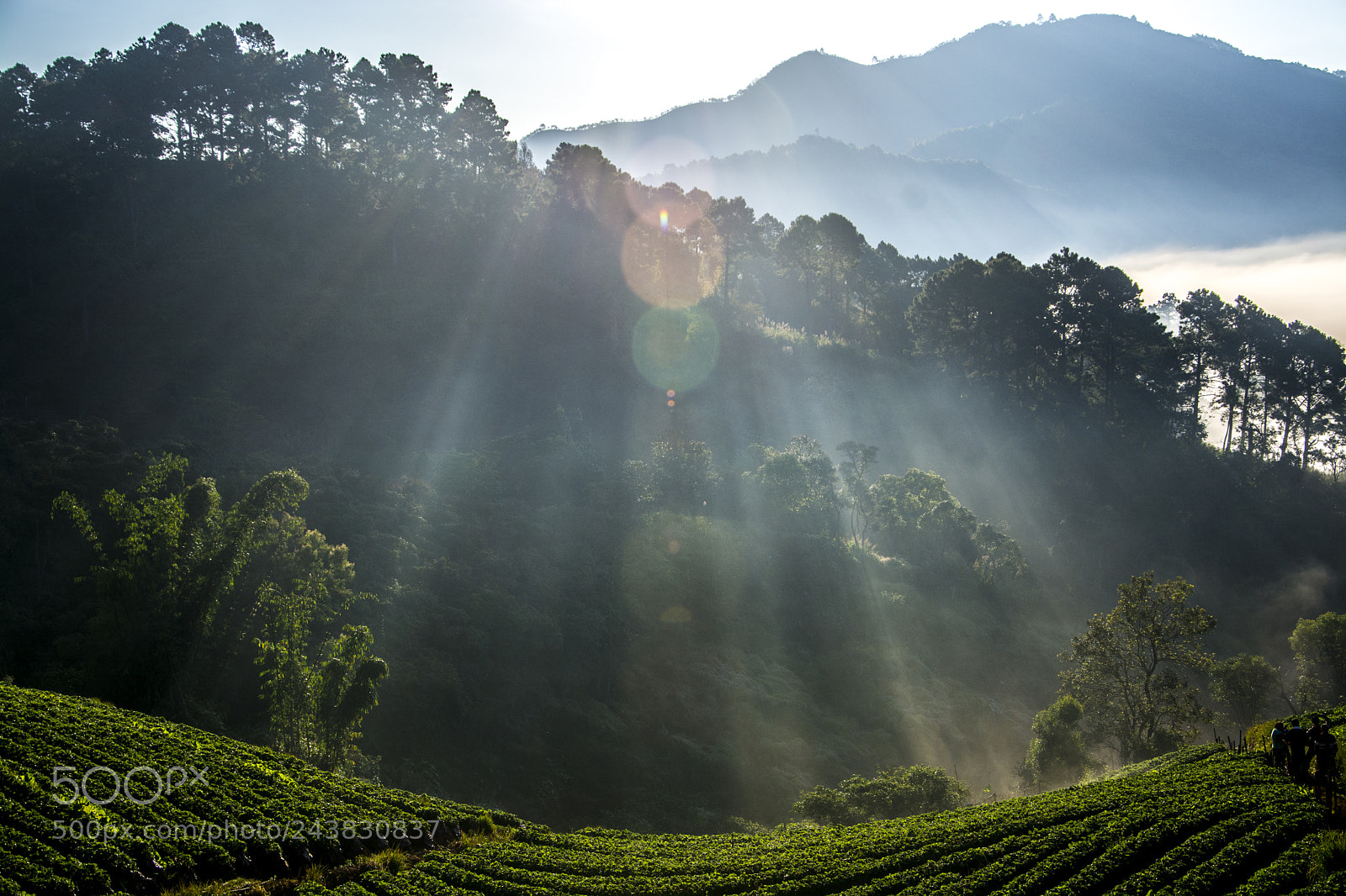 Nikon D7100 sample photo. Light mountain in the photography