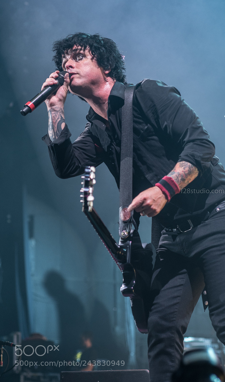 Nikon D500 sample photo. Billie joe | greenday photography