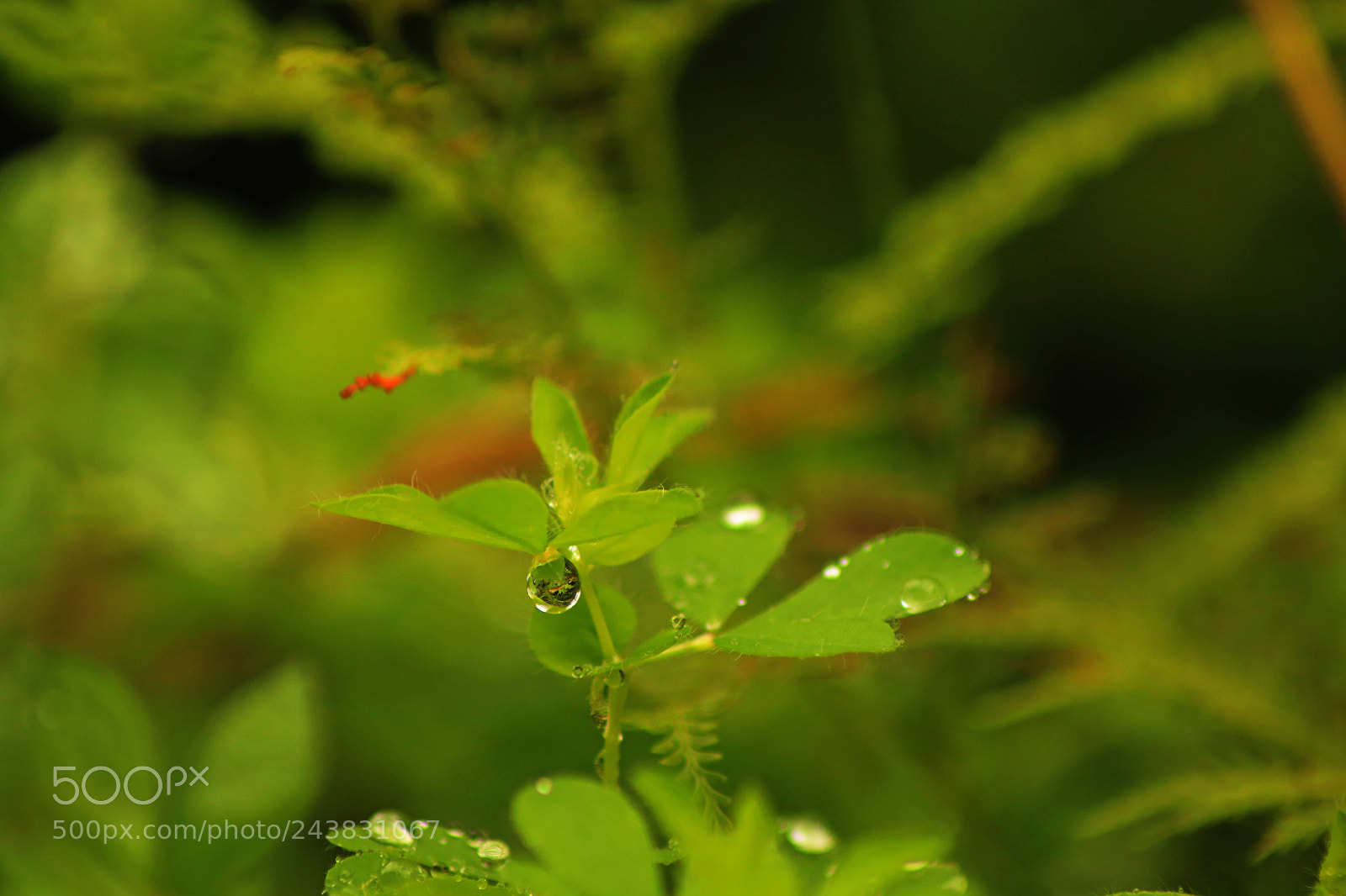 Canon EOS 760D (EOS Rebel T6s / EOS 8000D) sample photo. Untitled photography