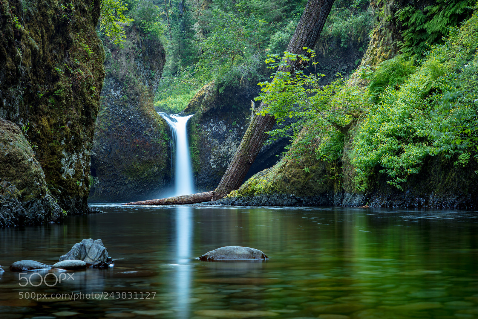 Canon EOS 5DS R sample photo. Punch bowl falls reflection photography