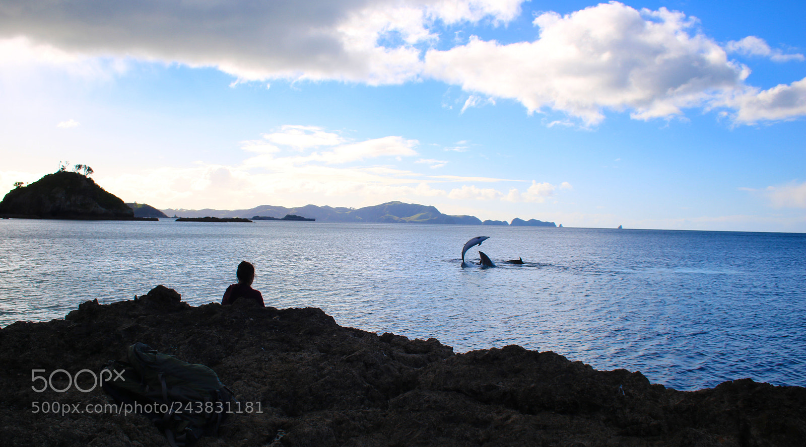 Canon EOS 760D (EOS Rebel T6s / EOS 8000D) sample photo. Untitled photography