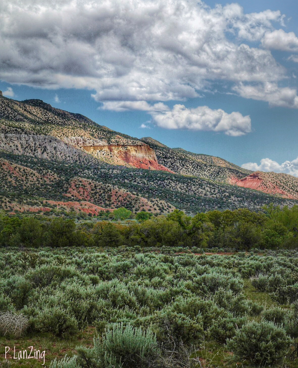 Panasonic Lumix DMC-L1 sample photo. Color along rio chama, new mexico photography