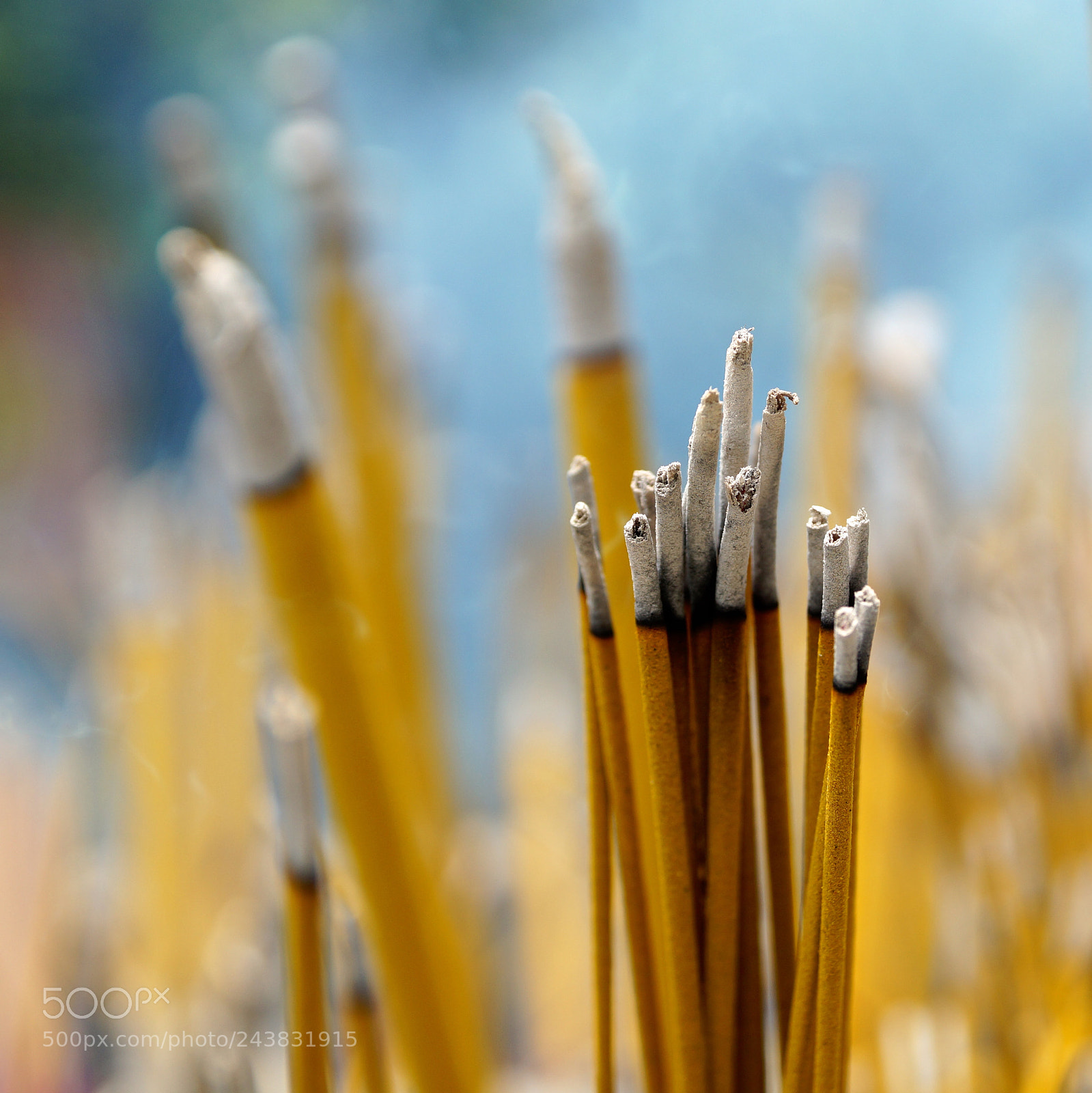 Sony SLT-A58 sample photo. Incense, po lin monastery photography