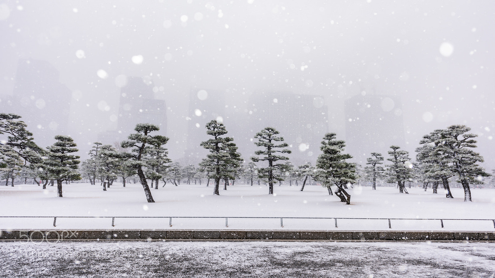 Nikon D810 sample photo. Heavy snow in tokyo photography